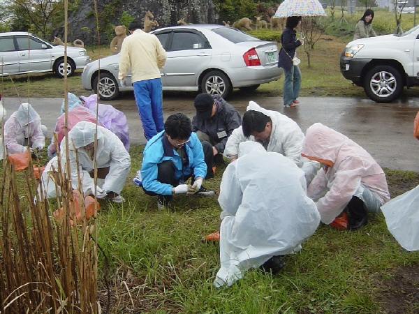 39-2006춘계수련대회/제주 - 한라산 중산간지대 고사리 꺾기 체험
고사리 손질 중...