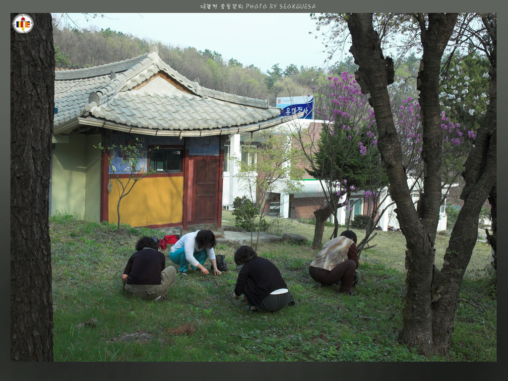 봄 아낙들... - 잠시 나는 시간에 지천으로 널린 봄나물 채취삼매경에 빠졌네요.