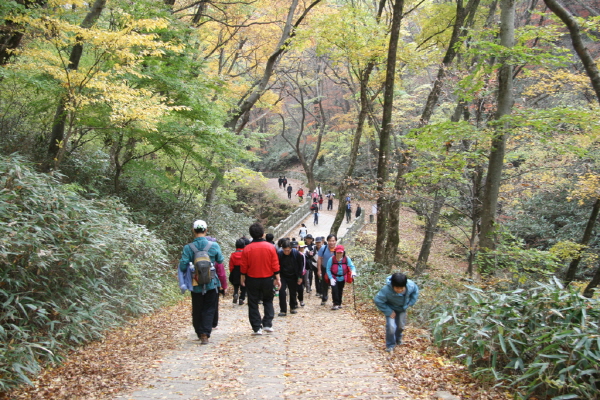 산행사진 2 - 사진을 클릭하시면 더 크게 보실 수 있습니다.