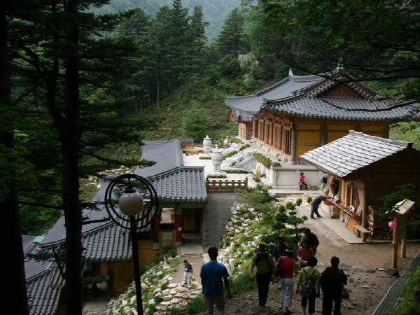 53 사찰순례 월정사 - 적멸보궁가는길