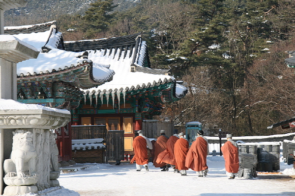 14차 사찰순례 수덕사 간월암 - 이렇게 많은 스님들이 가사장삼을 입고 눈쌓인 절 마당을 걷은것 처음 봅니다.. 