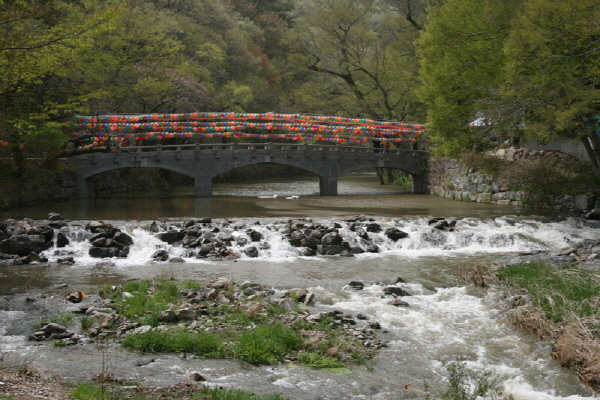 제 16차 공주마곡사 사찰순례 - 극락교 전경